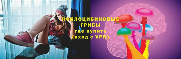 СК Кинешма