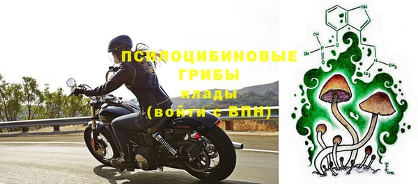 СК Кинешма